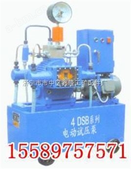 4DSB压力自控式电动试压泵厂家