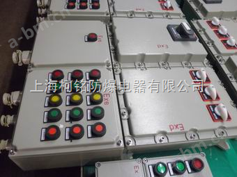 XBK防爆控制箱，现场防爆配电箱（ⅡB、ⅡC、DIP）